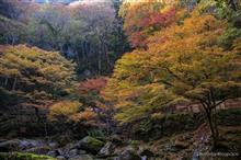 秋景色vol.3　赤目四十八滝