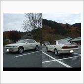 せっかくなので