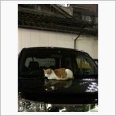プチオフ〜博多 (その2)� ...