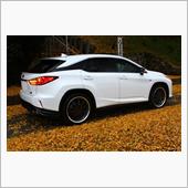 2016　RX落葉前線？（短 ...