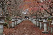 紅葉も、ぼちぼち終わりそう・・・。