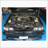 R31