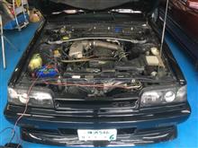 R31