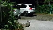 にゃんこ
