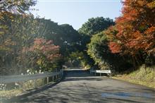 池めぐりは、かなりハードですた。(;&#180;Д｀)ﾊｧﾊｧ