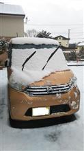 雪だねぇ… 雪だねぇ…