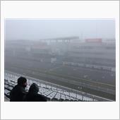 TGRF 参戦中