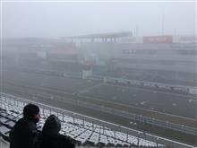 TGRF 参戦中