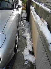 この間の雪・・・