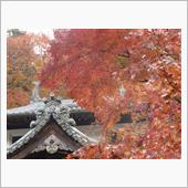 河内長野　延命寺