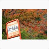 紅葉と西伊豆ドライブ！