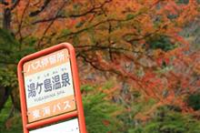 紅葉と西伊豆ドライブ！