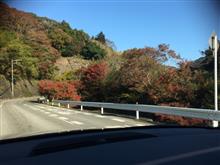 房総早朝ドライブ