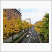 県内の紅葉プチ散策