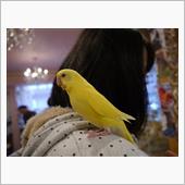 2016年11/19(土)　 ...