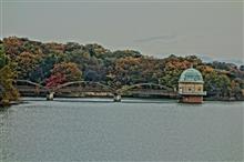多摩湖午後景？