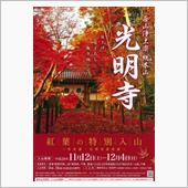 紅葉燃ゆる京の西山へ