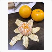 天然素材でVitamin補給 ...
