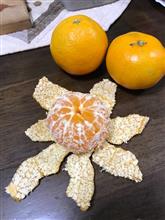 天然素材でVitamin補給(≧∇≦)