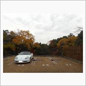 奈良公園・東大寺に行ってみた