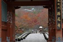 大阪･箕面 勝尾寺に紅葉撮影に行ってきました♪