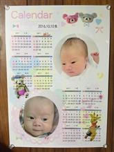 息子カレンダー 息子カレンダー
