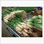 野菜の収穫に追われる日々～( ...