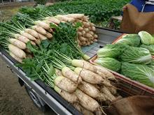 野菜の収穫に追われる日々～(^_^)💦