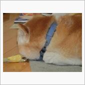 いびき