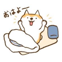 皆さん、おはようございます＼(^o^)／