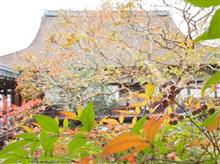 京都〜3日目〜 京都〜3日目〜