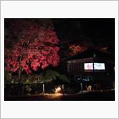 聚遠亭の紅葉ライトアップ