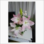ユリの花
