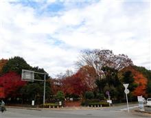 あしあと♪　９６７　中華料理　岩手屋さん！！＾＾ｖ　ー宇都宮市ー