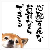 明日からは…