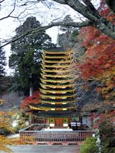 紅く燃ゆる・・・はずが・・・（神社編）