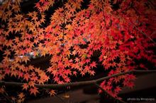 2016年　そうだ　京都、行こう　一日目