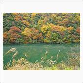 岐阜県道２７１号揖斐峡公園線　