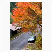 高知県にて紅葉を楽しむ