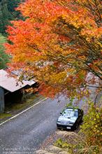 高知県にて紅葉を楽しむ