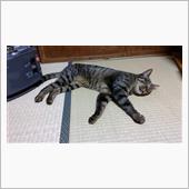 俺の落ち度ではないからね？