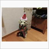今日から12月ですね～～