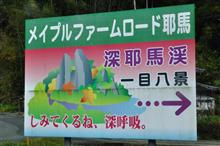秋の大分巡り③ 耶馬溪から由布院へ (2016 .11) 秋の大分巡り③ 耶馬溪から由布院へ (2016 .11)