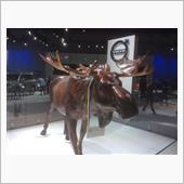 LA AUTO SHOW 2 ...