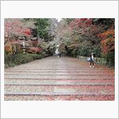 京都の紅葉（その１）