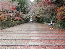 京都の紅葉（その１）