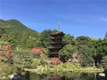国宝瑠璃光寺五重塔...　本、読書...　ひとりごと...