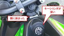 ヤレヤレ