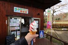 第１２６回むらさきいもソフトクリームを食べるプチオフ