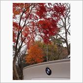 六甲紅葉？散歩(^^♪